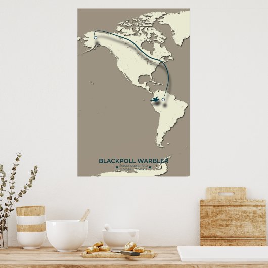Blackpoll Warbler-migratiekaart – minimalistisch Poster (Keuken)