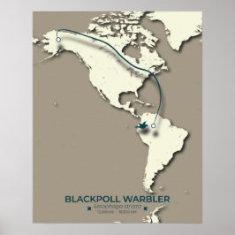 Blackpoll Warbler-migratiekaart – minimalistisch Poster