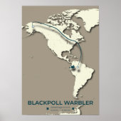 Blackpoll Warbler-migratiekaart – minimalistisch Poster (Voorkant)