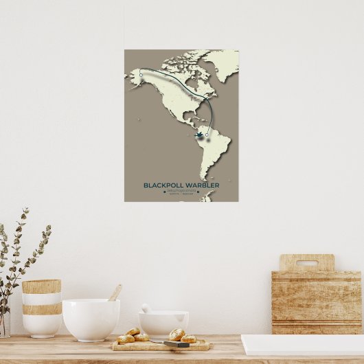 Blackpoll Warbler-migratiekaart – minimalistisch Poster (Keuken)