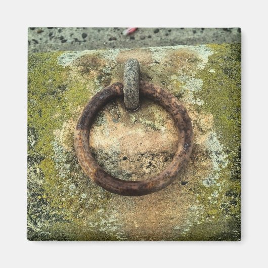 Blackpool Zee Wall Magnet (Voorkant)