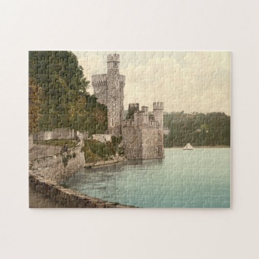 Blackrock Castle Cork Ierland Legpuzzel (Horizontaal)