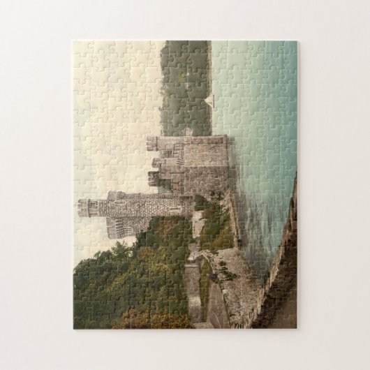 Blackrock Castle Cork Ierland Legpuzzel (Verticaal)