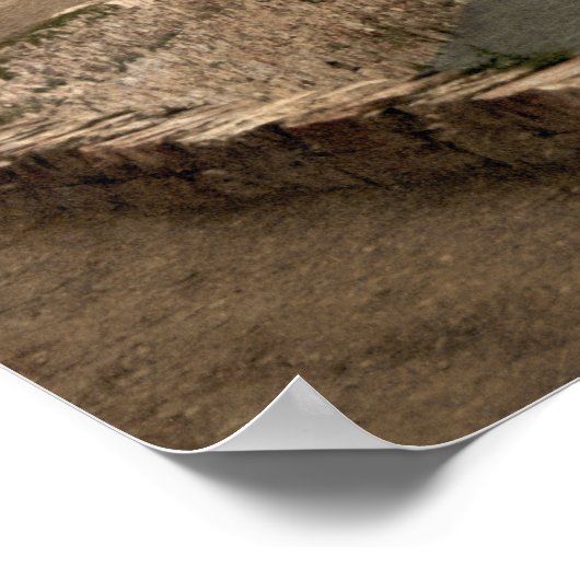 Blackrock Castle Cork Ierland Poster (Hoek)