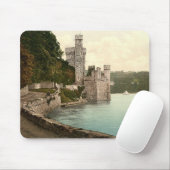 Blackrock Castle County Cork Muismat (Met muis)