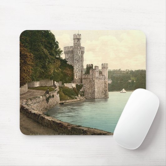 Blackrock Castle County Cork Muismat (Met muis)