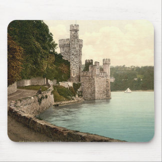 Blackrock Castle County Cork Muismat