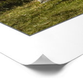 Blackrock Cottage, Schotland Poster (Hoek)