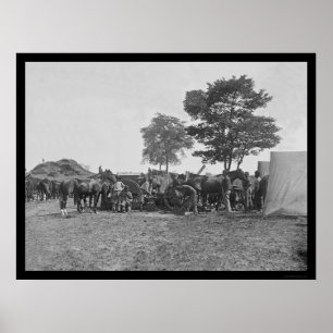 Blacksmith Shoeing Horses op Antietam 1862 Poster