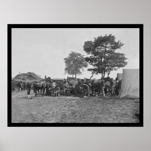 Blacksmith Shoeing Horses op Antietam 1862 Poster (Voorkant)