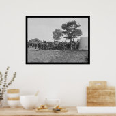 Blacksmith Shoeing Horses op Antietam 1862 Poster (Keuken)