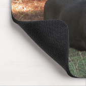 Blacktail Buck Mousepad Muismat (Hoek)