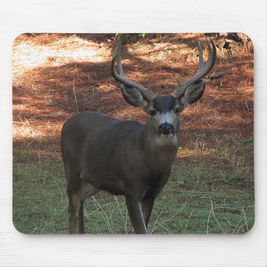 Blacktail Buck Mousepad Muismat (Voorkant)