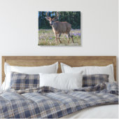 Blacktail Deer Buck | Nationaal Olympisch Park Canvas Afdruk (Insitu (Slaapkamer))