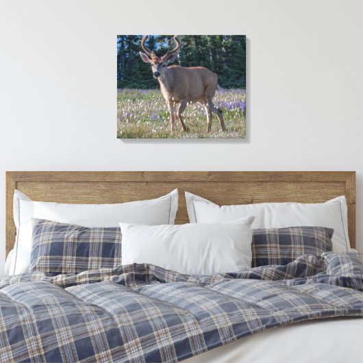 Blacktail Deer Buck | Nationaal Olympisch Park Canvas Afdruk (Insitu (Slaapkamer))