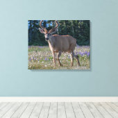 Blacktail Deer Buck | Nationaal Olympisch Park Canvas Afdruk (Insitu (Houten vloer))