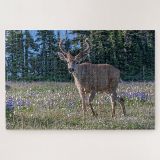Blacktail Deer Buck | Nationaal Olympisch Park Legpuzzel (Horizontaal)