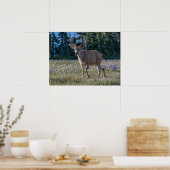 Blacktail Deer Buck | Nationaal Olympisch Park Poster (Keuken)