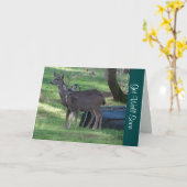 Blacktail Deer krijgt snel een briefkaart (Gele Bloem)