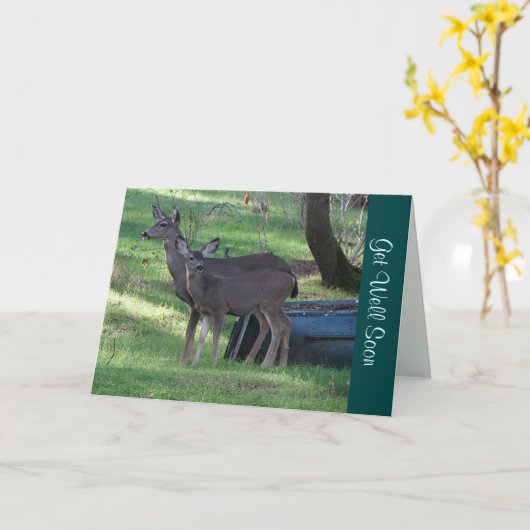 Blacktail Deer krijgt snel een briefkaart (Gele Bloem)