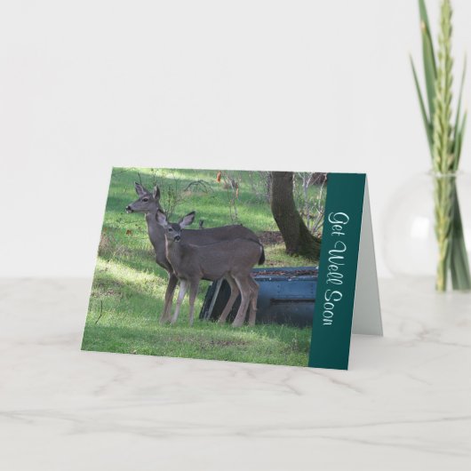 Blacktail Deer krijgt snel een briefkaart (Voorkant)