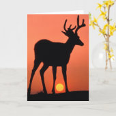 Blacktail of Mule Deer | Nationaal Olympisch Park Kaart (Gele Bloem)