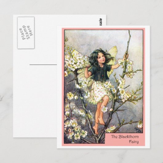 Blackthorn Fairy Briefkaart (Voorkant / Achterkant)