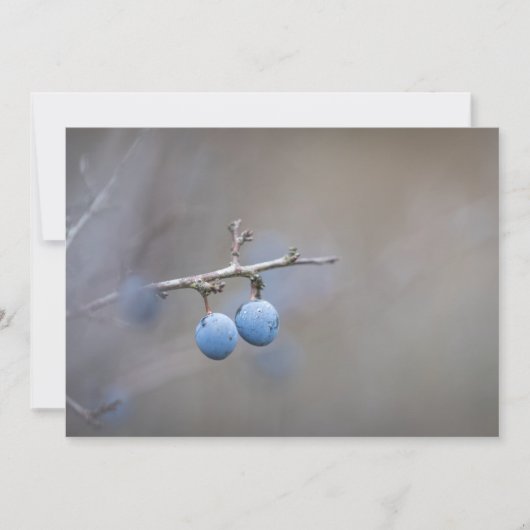 Blackthorn Natuur-fotokaart (Voorkant)
