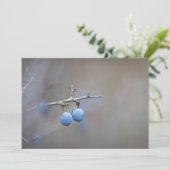 Blackthorn Natuur-fotokaart (Staand voorkant)