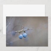 Blackthorn Natuur-fotokaart (Voorkant / Achterkant)