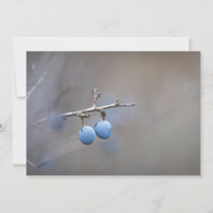 Blackthorn Natuur-fotokaart
