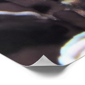 Blacktip Grouper Poster (Hoek)