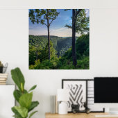 Blackwater Canyon, Blackwater Herfsten State Park, Poster (Thuiskantoor)