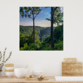 Blackwater Canyon, Blackwater Herfsten State Park, Poster (Keuken)