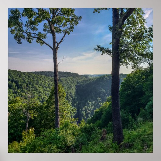 Blackwater Canyon, Blackwater Herfsten State Park, Poster (Voorkant)