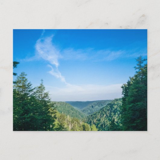 Blackwater Canyon, West Virginia Briefkaart (Voorkant)