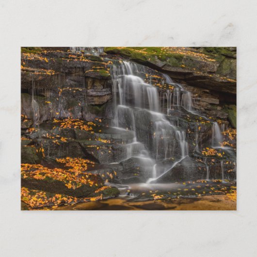Blackwater Falls State Park Briefkaart (Voorkant)