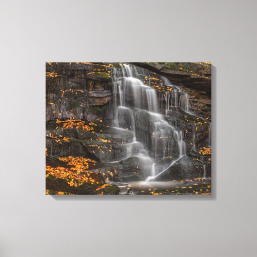 Blackwater Falls State Park Canvas Afdruk (Voorkant)