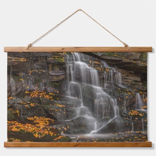 Blackwater Falls State Park Hangend Wandkleed (Voorkant)