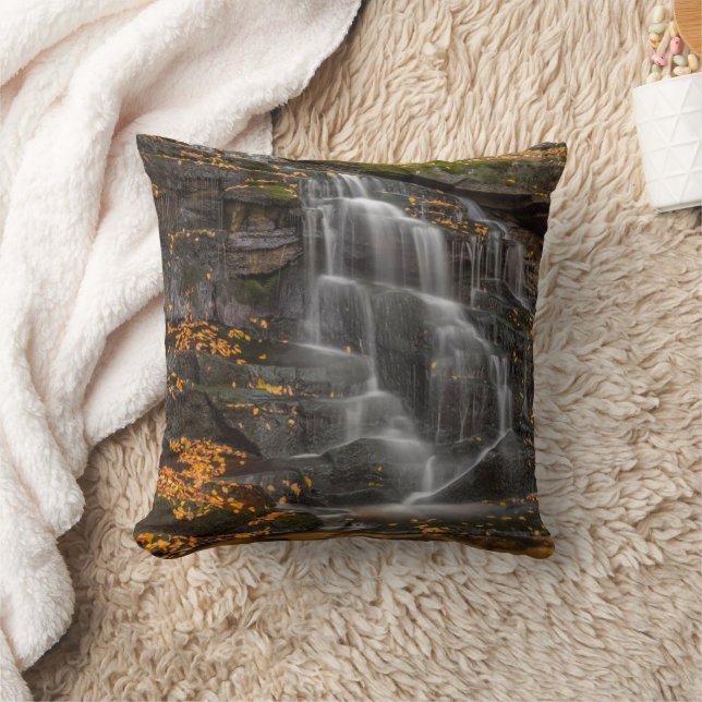 Blackwater Falls State Park Kussen (Deken)