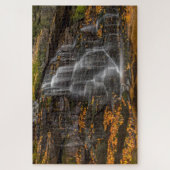 Blackwater Falls State Park Legpuzzel (Verticaal)