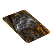 Blackwater Falls State Park Magneet (Rechterzijde)