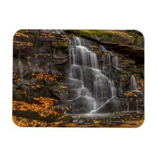 Blackwater Falls State Park Magneet