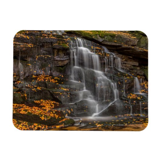 Blackwater Falls State Park Magneet (Horizontaal)