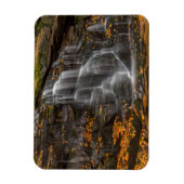 Blackwater Falls State Park Magneet (Verticaal)