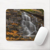 Blackwater Falls State Park Muismat (Met muis)