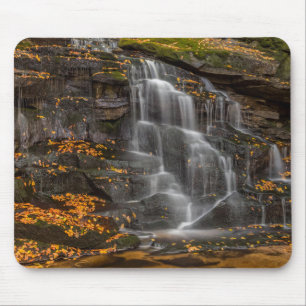 Blackwater Falls State Park Muismat