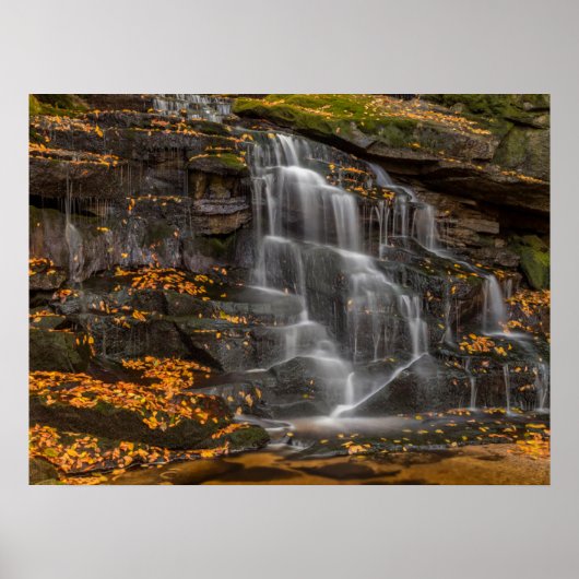 Blackwater Falls State Park Poster (Voorkant)