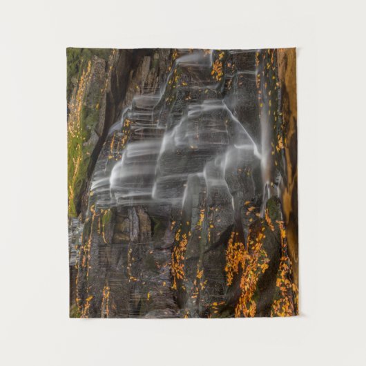 Blackwater Falls State Park Wandkleed (Voorkant)