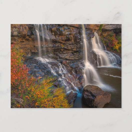 Blackwater Falls State Park | West Virginia Briefkaart (Voorkant)
